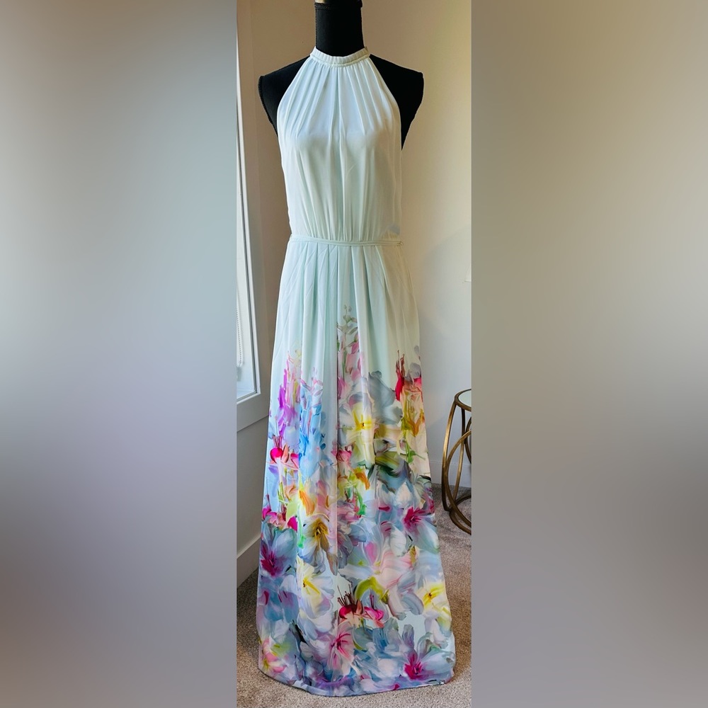 Ted Baker Maxi Dress
